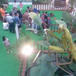 Giant Praying Mantis