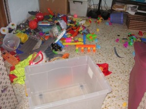 Completely empty toy box..